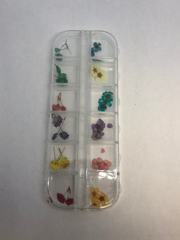 Dried Flowers (with case)