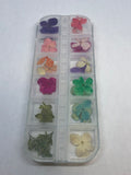 Dried Flowers (with case)